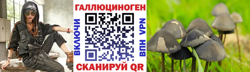 купить   Североморск  Галлюциногенные грибы MAGIC MUSHROOMS 